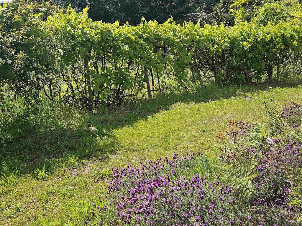 #14 Lake Sonoma Ranches Property Photo 50