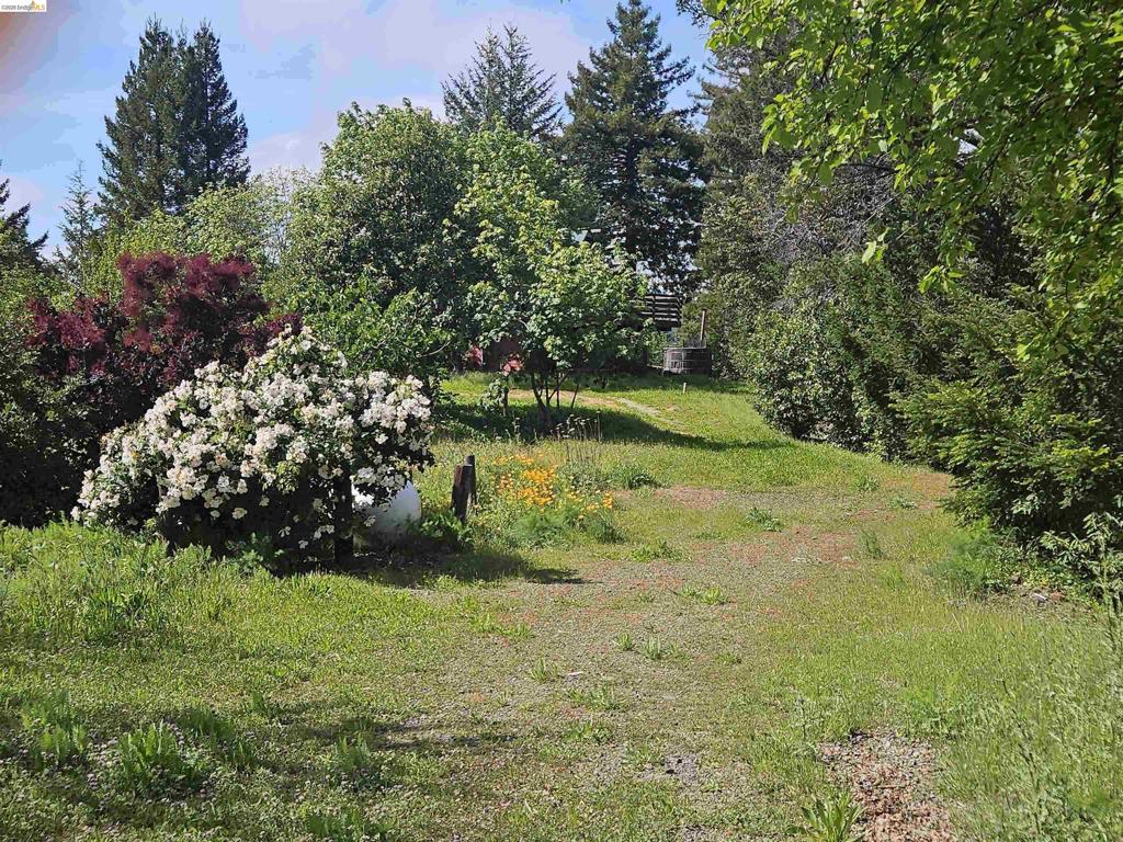 #14 Lake Sonoma Ranches Property Photo 52