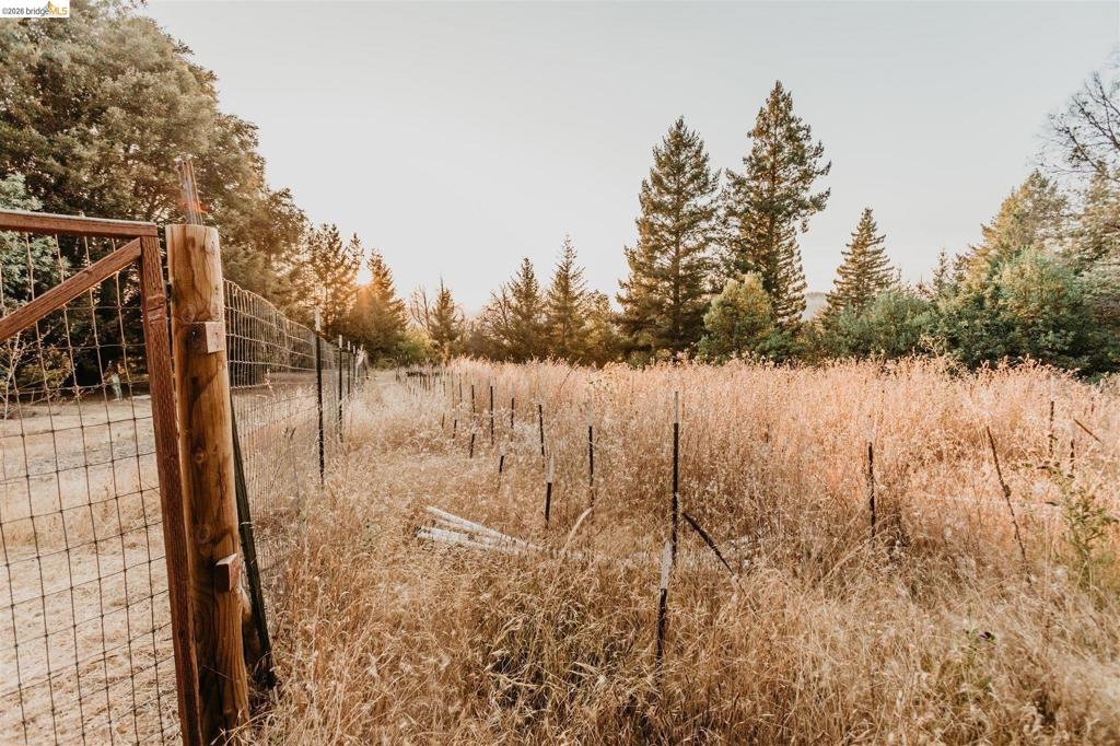 #14 Lake Sonoma Ranches Property Photo 60
