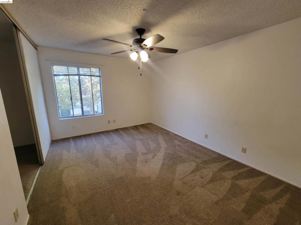 3905 Clayton Rd 12 Property Photo 16