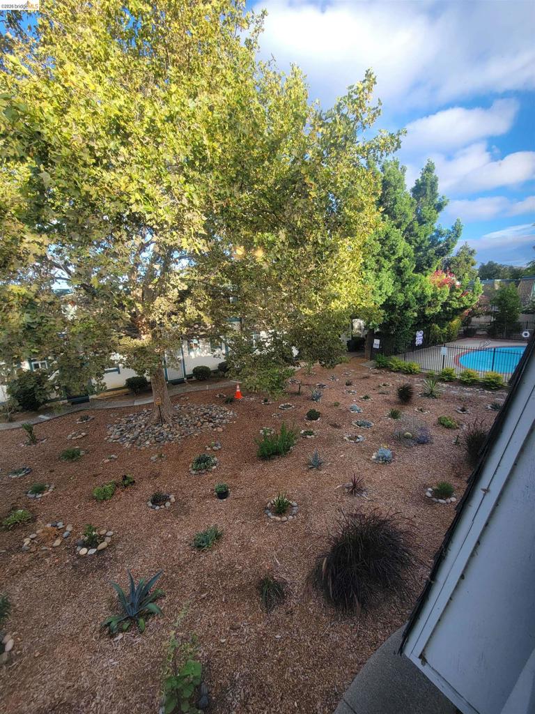 3905 Clayton Rd 12 Property Photo 18