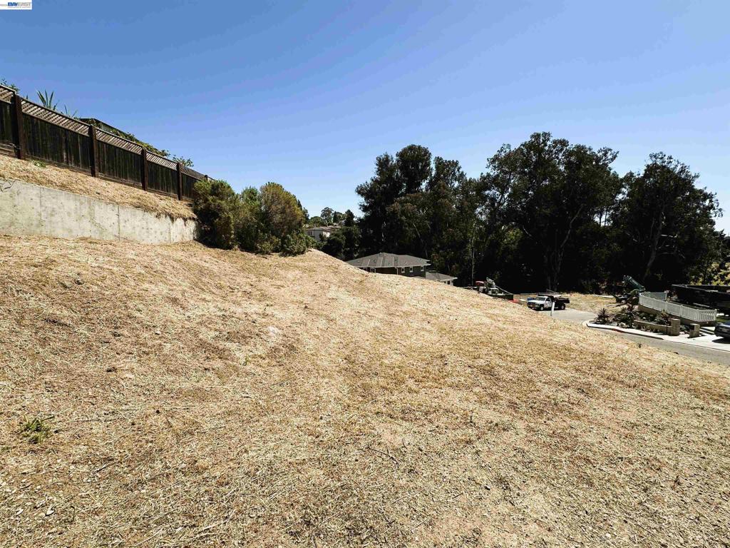 24366 Israel Ct Property Photo 3