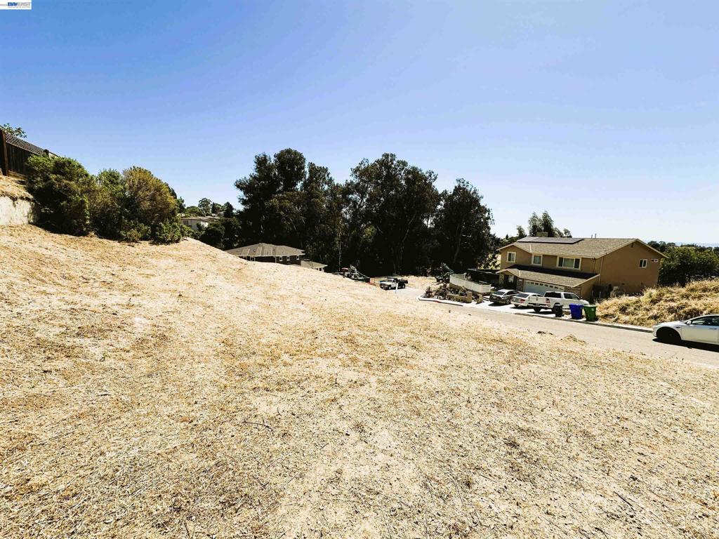 24366 Israel Ct Property Photo 4