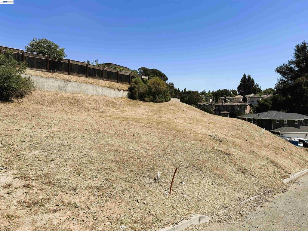 24366 Israel Ct Property Photo 11