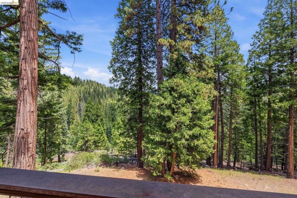 29495 Kerns Dr Property Photo 33