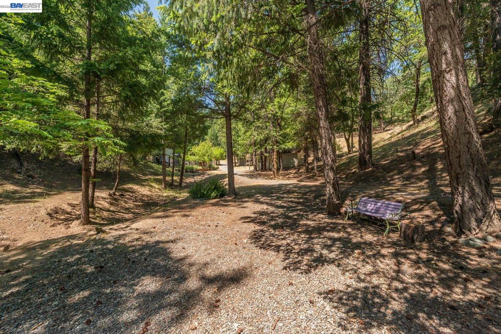 891 Salt Flat Rd Property Photo 31