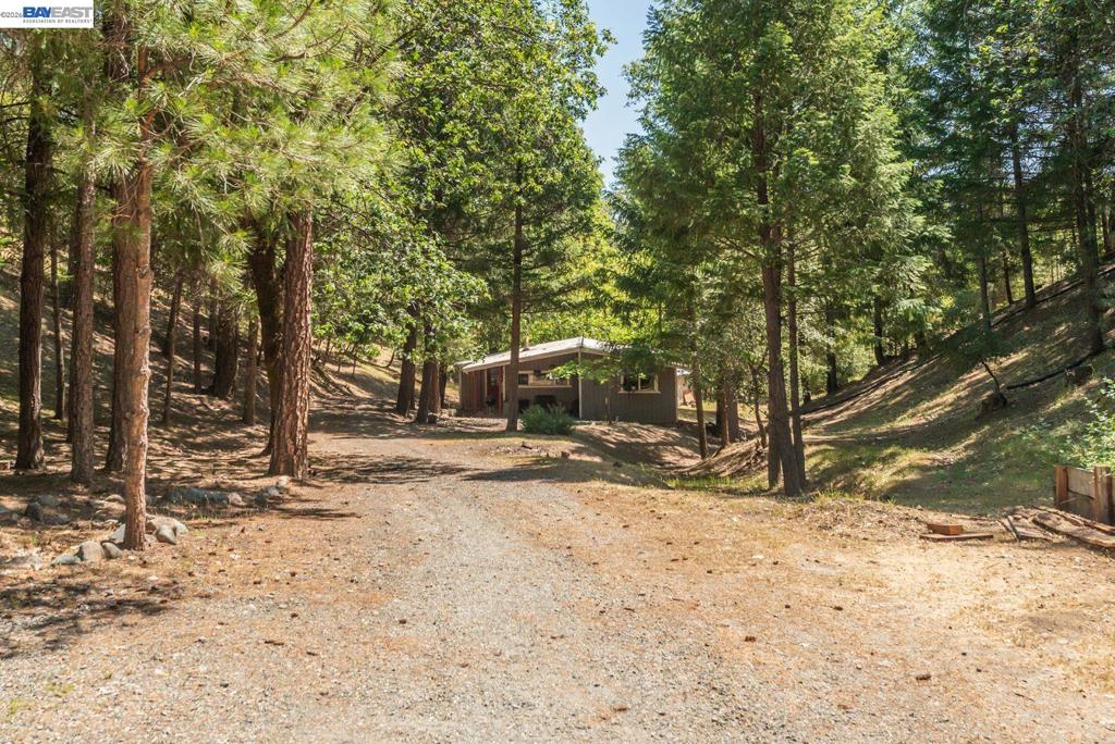 891 Salt Flat Rd Property Photo 34