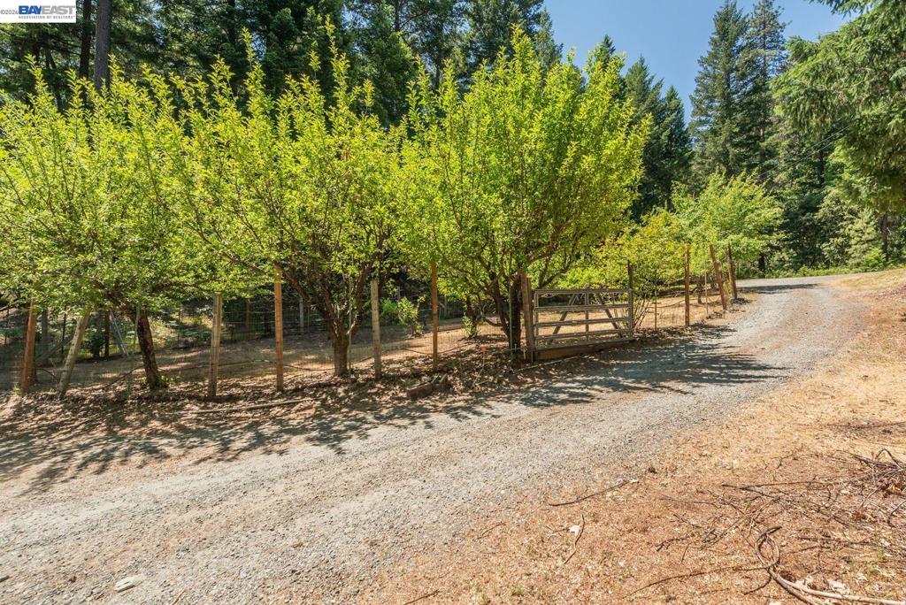 891 Salt Flat Rd Property Photo 35