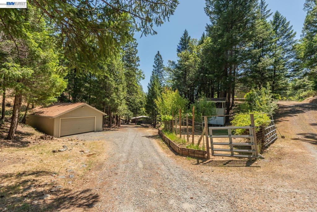 891 Salt Flat Rd Property Photo 36