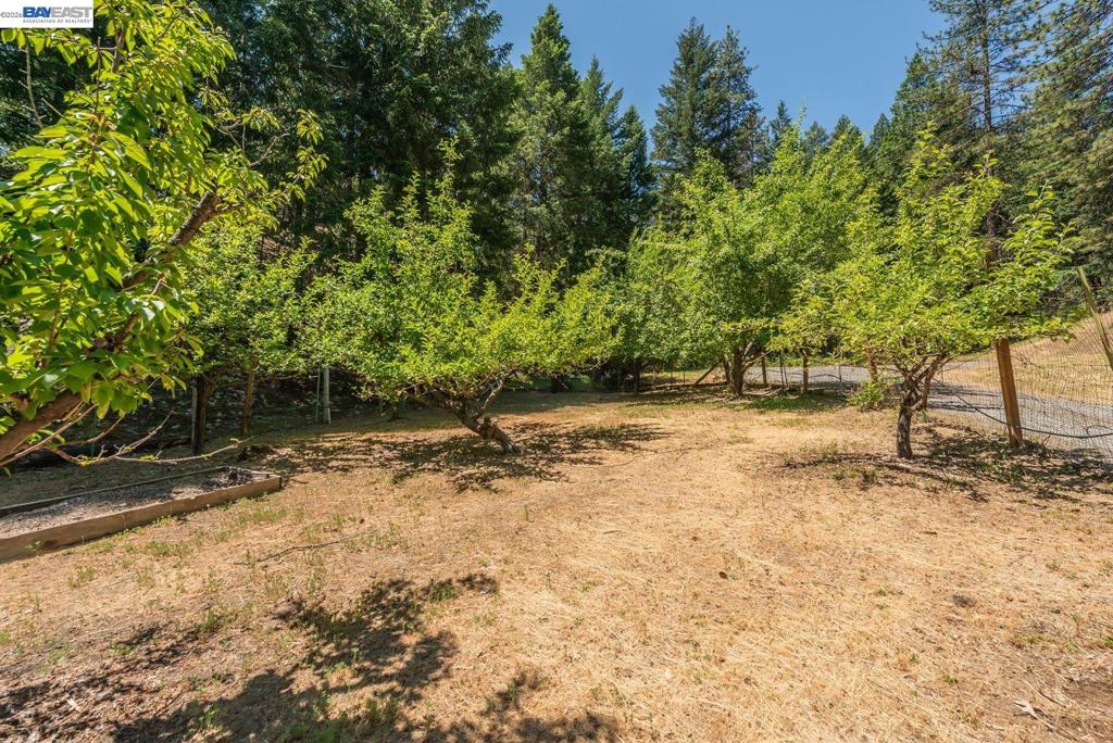 891 Salt Flat Rd Property Photo 37