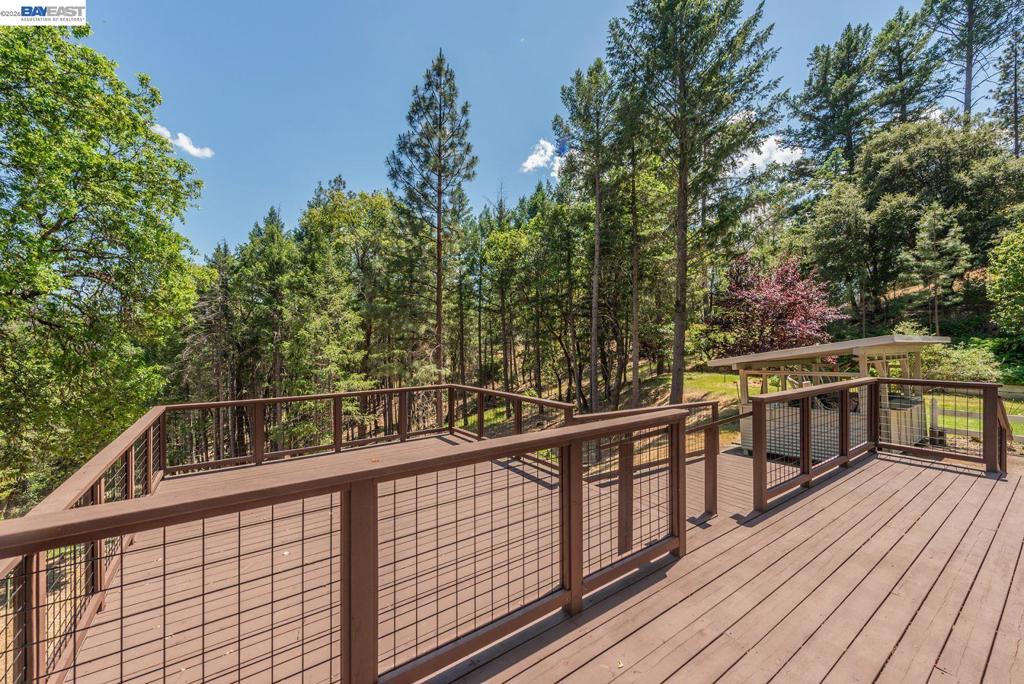 891 Salt Flat Rd Property Photo 38