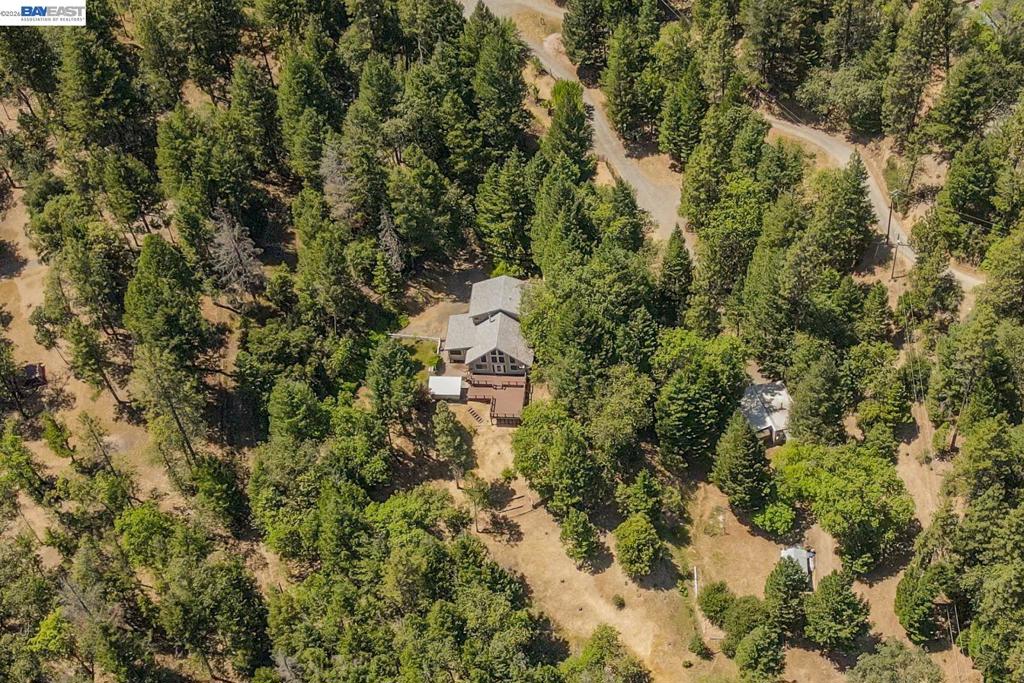 891 Salt Flat Rd Property Photo 47