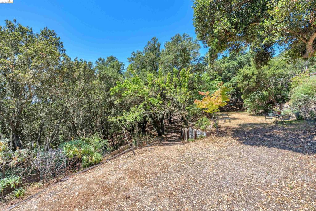 7001 Monte Verde Rd Property Photo 25