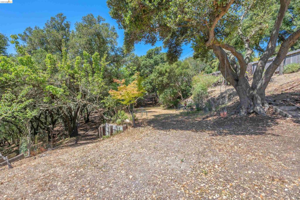 7001 Monte Verde Rd Property Photo 26