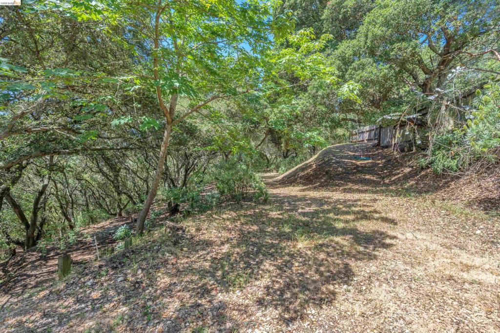 7001 Monte Verde Rd Property Photo 27