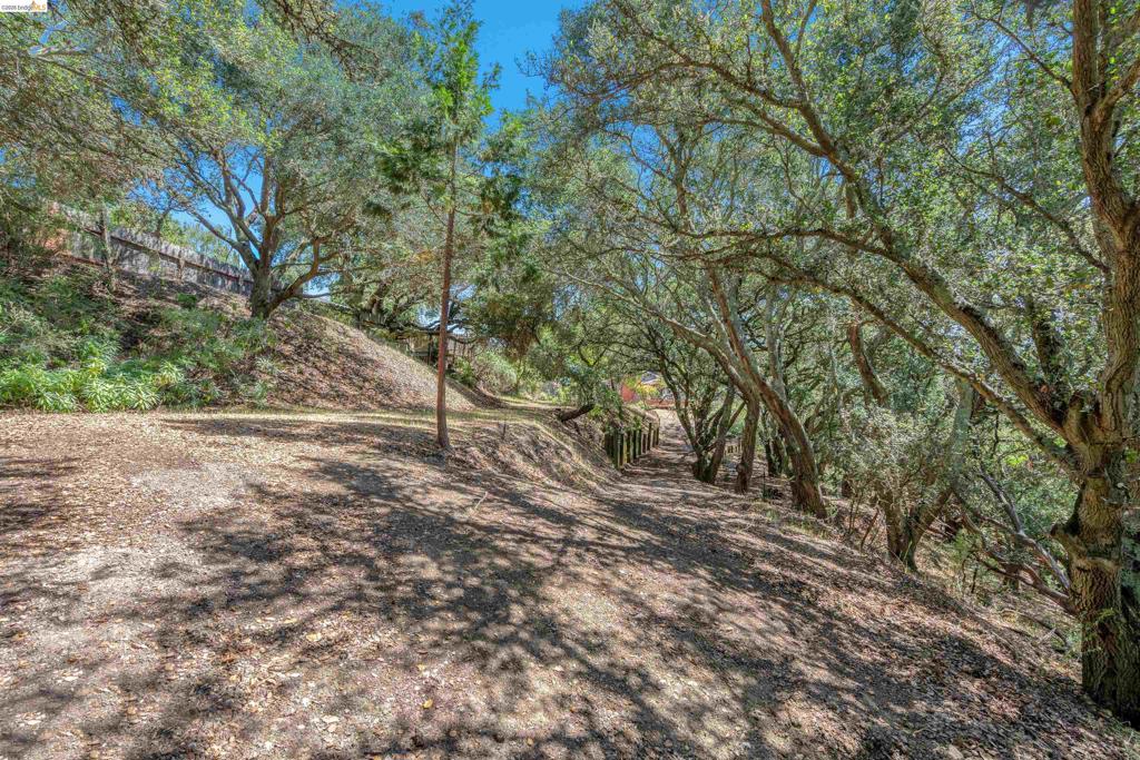 7001 Monte Verde Rd Property Photo 28