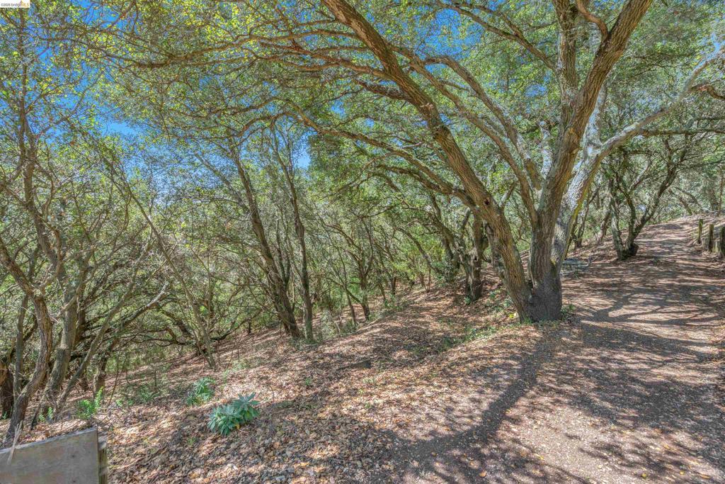 7001 Monte Verde Rd Property Photo 30