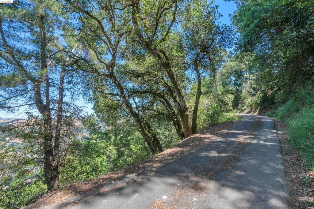 7001 Monte Verde Rd Property Photo 42