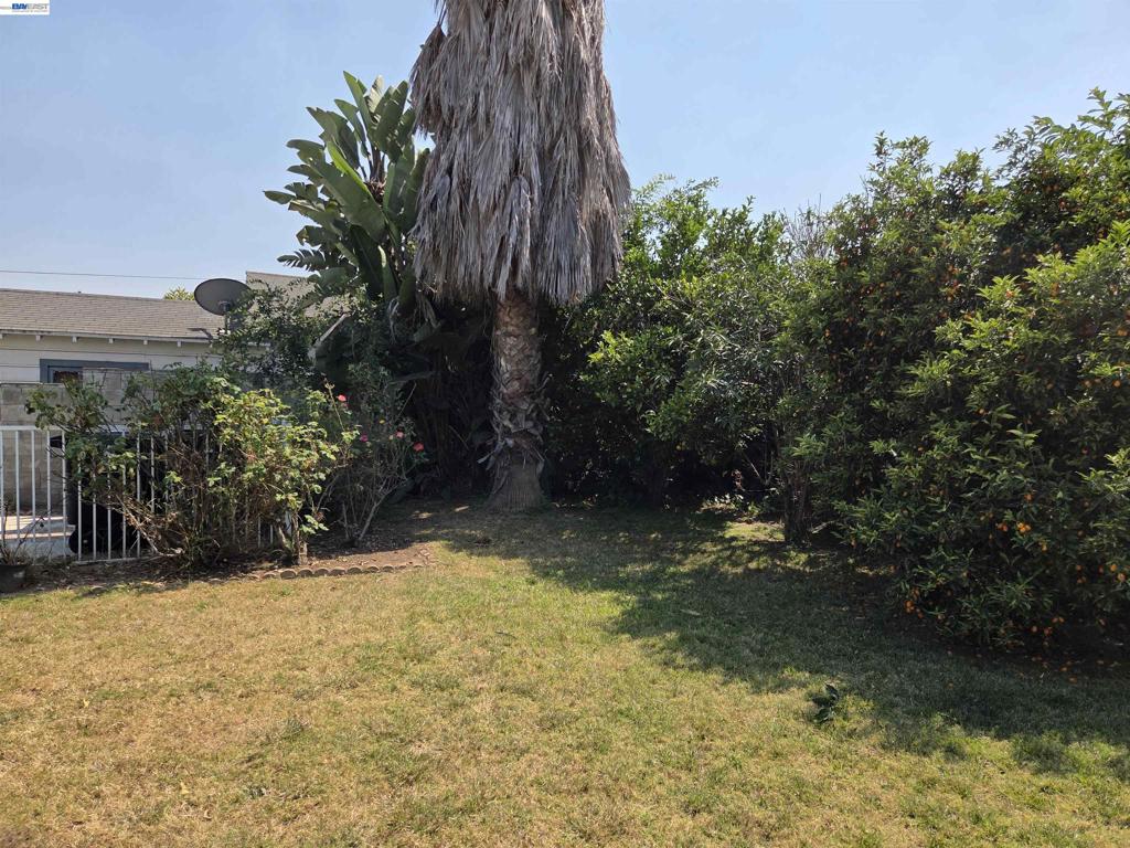 3229 Angelus Ave Property Photo 5