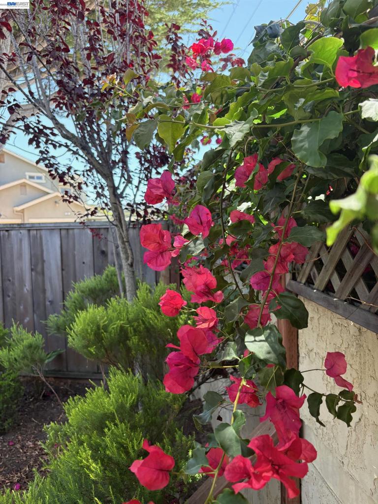 217 Casa Verde Way Property Photo 34