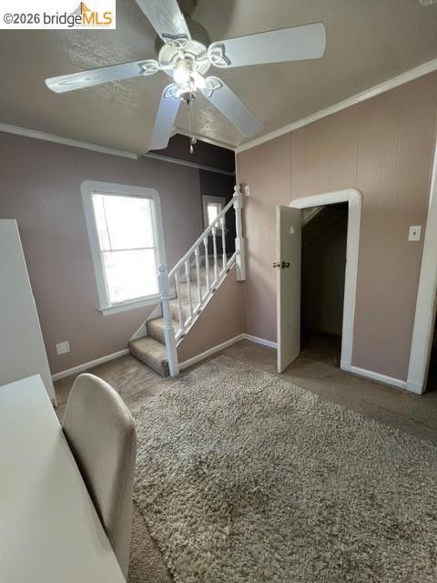 1376 Elm Street Property Photo 14