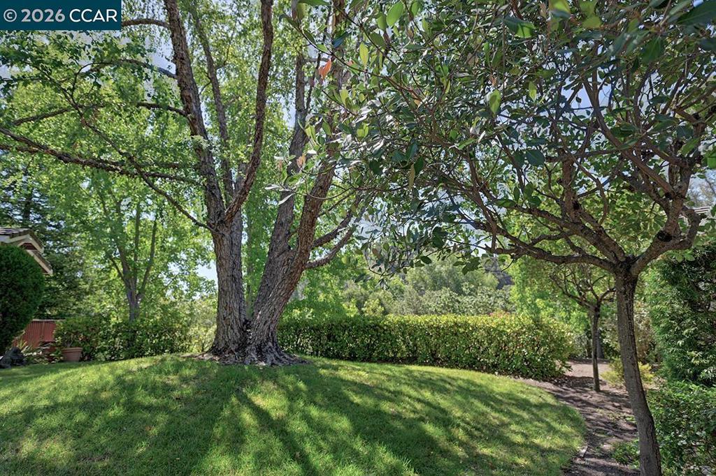 1706 Comstock Dr Property Photo 48