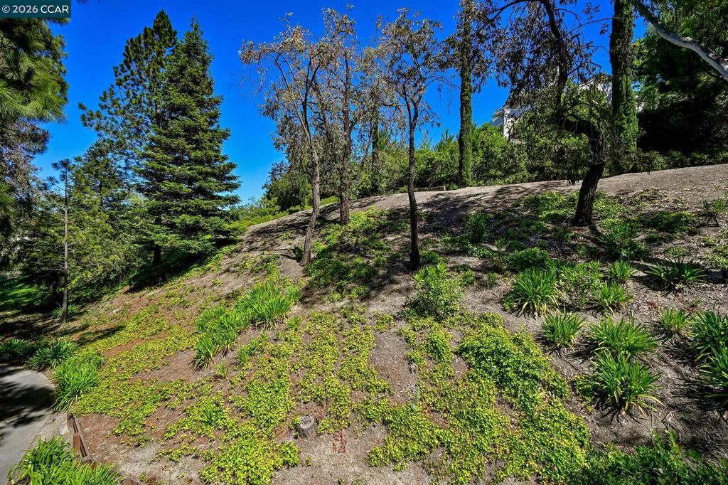 200 Norris Canyon Pl C Property Photo 31