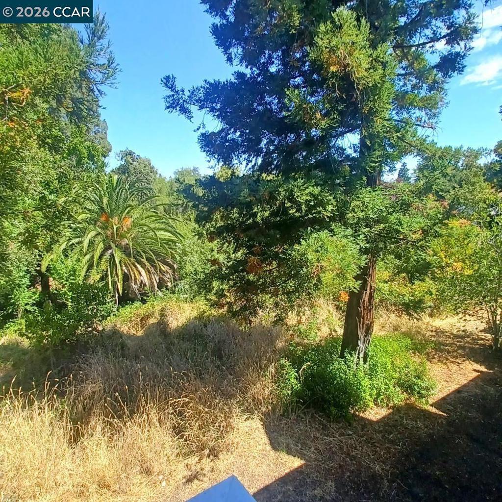280 Scottsdale Rd Property Photo 5
