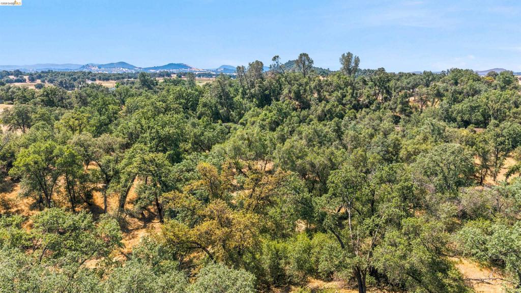 10151 Bell Mooney Rd Property Photo 15