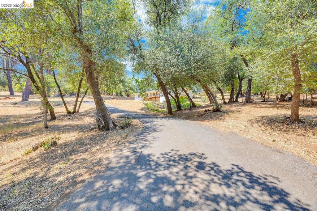 15311 Curtis Cir Property Photo 42