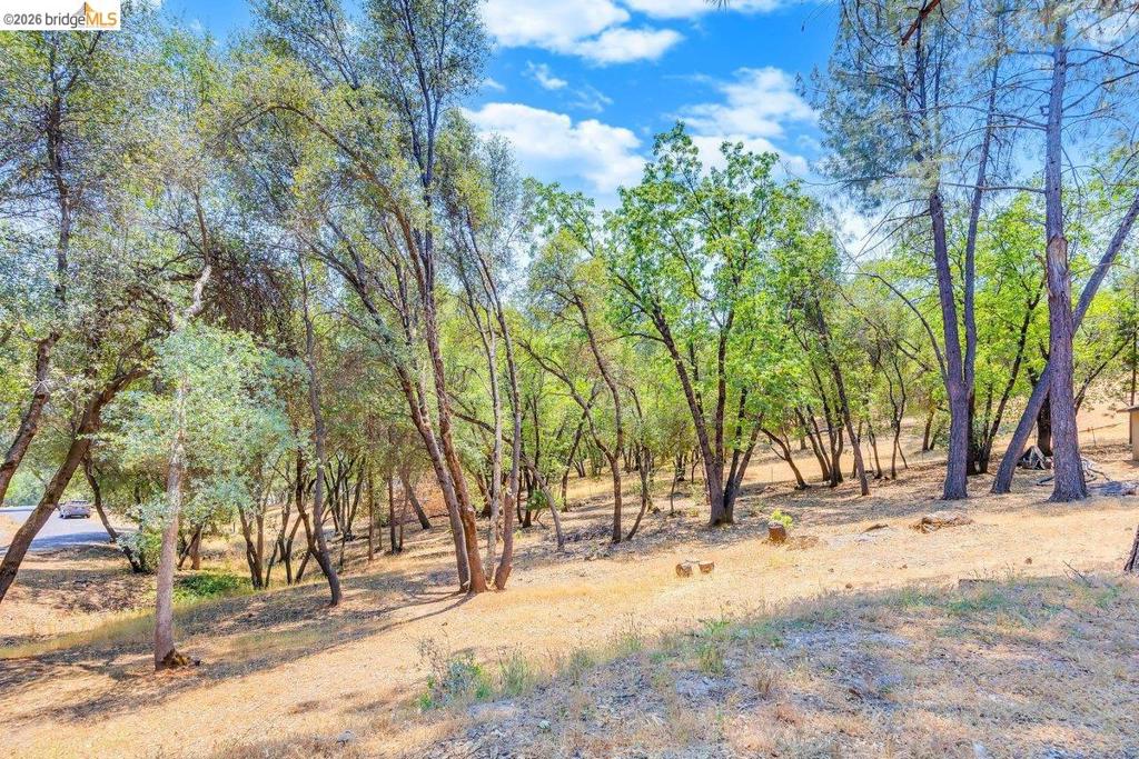 15311 Curtis Cir Property Photo 43