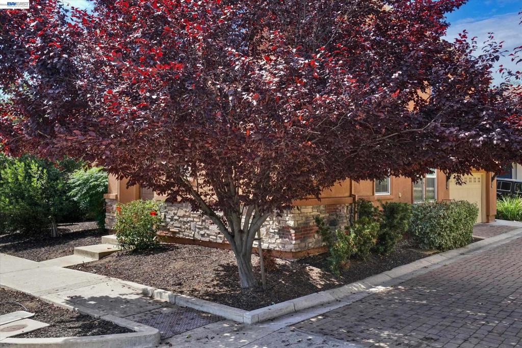 321 Cortona Way Property Photo 43