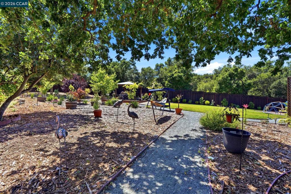 3196 Diablo View Rd Property Photo 69
