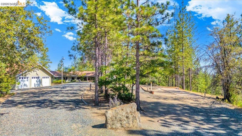 10421 Dexter Ln Property Photo 12