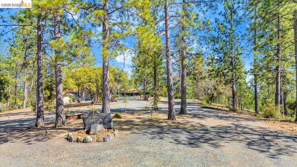 10421 Dexter Ln Property Photo 14