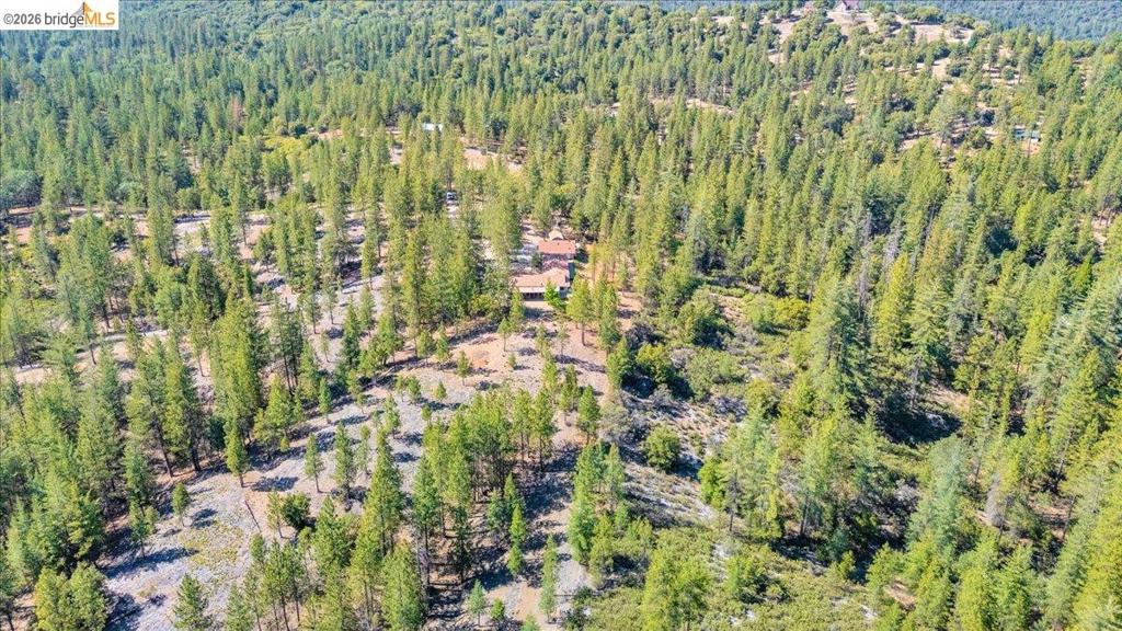 10421 Dexter Ln Property Photo 19