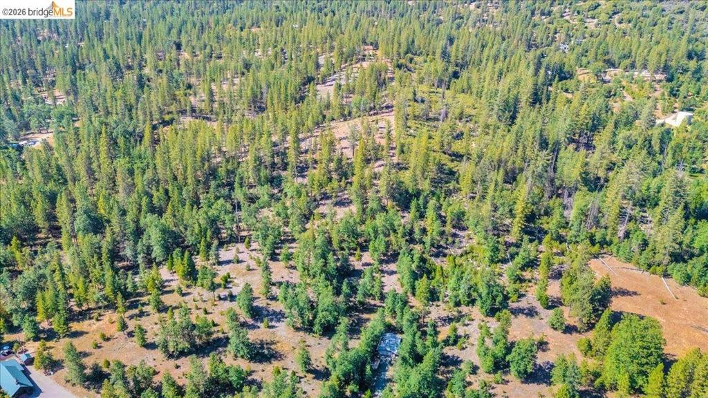 10421 Dexter Ln Property Photo 20