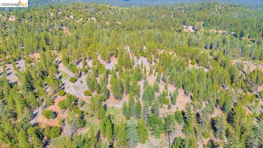 10421 Dexter Ln Property Photo 21