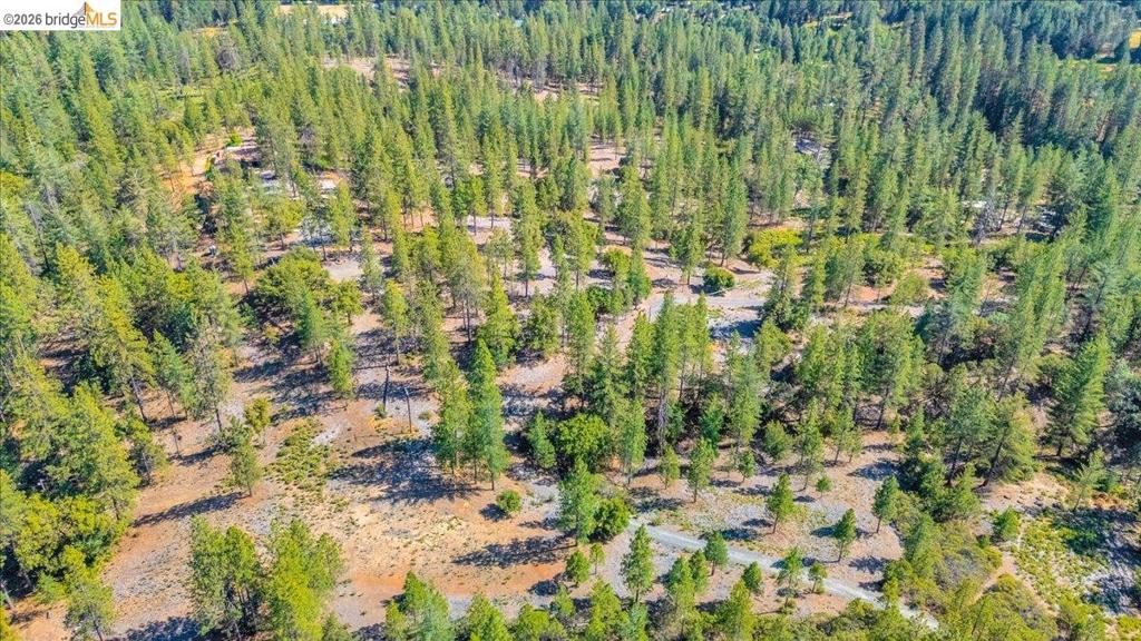 10421 Dexter Ln Property Photo 22
