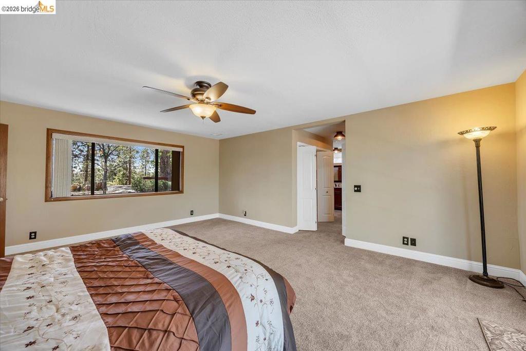 10421 Dexter Ln Property Photo 55