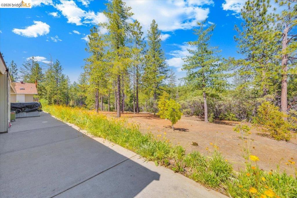 10421 Dexter Ln Property Photo 66