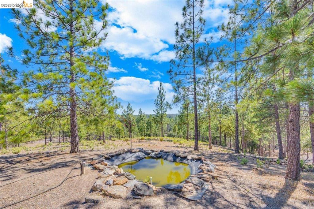 10421 Dexter Ln Property Photo 71