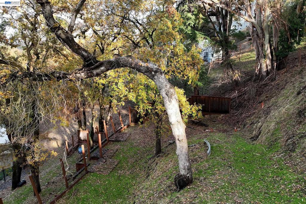 247 Sequoia Ave Property Photo 15