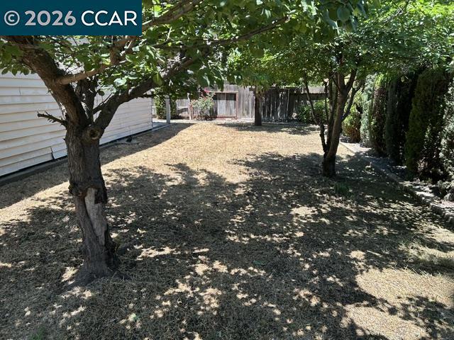 945 Arambel Dr Property Photo 25