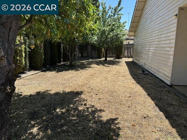 945 Arambel Dr Property Photo 29