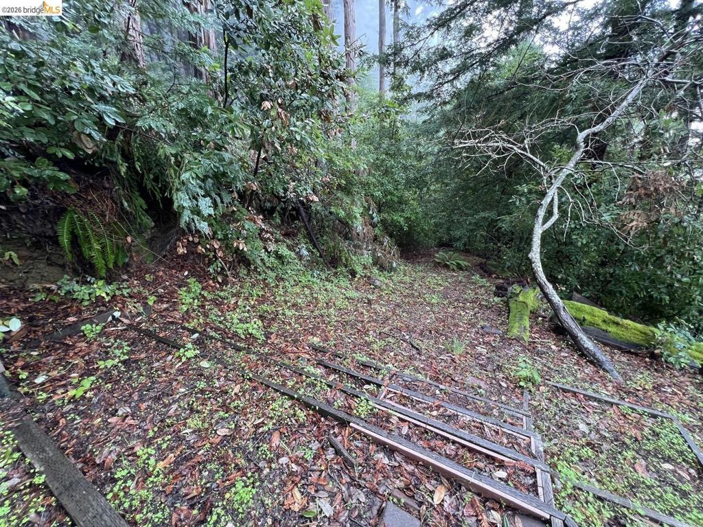 0 Deer Trail Way Property Photo 3