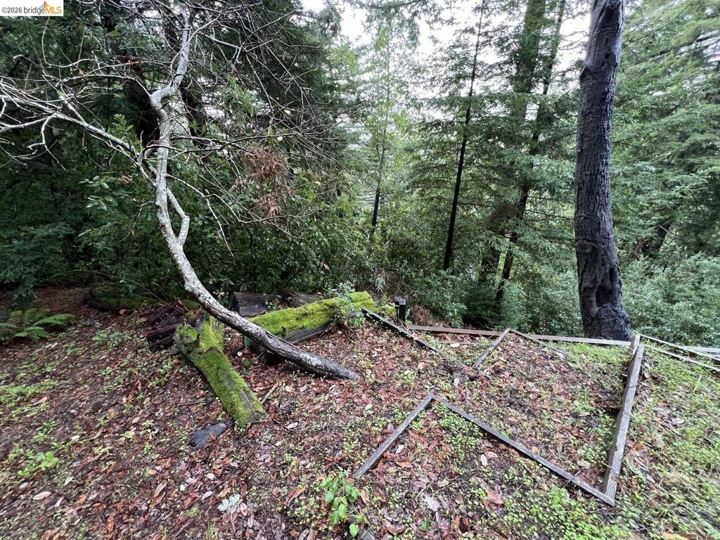 0 Deer Trail Way Property Photo 4