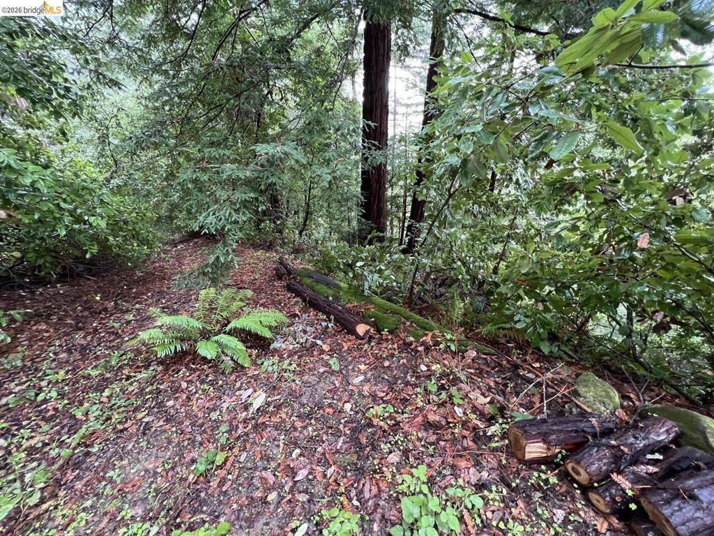 0 Deer Trail Way Property Photo 5