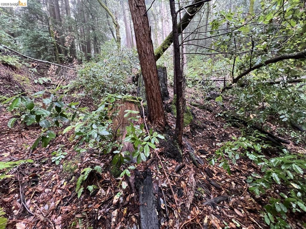 0 Deer Trail Way Property Photo 8