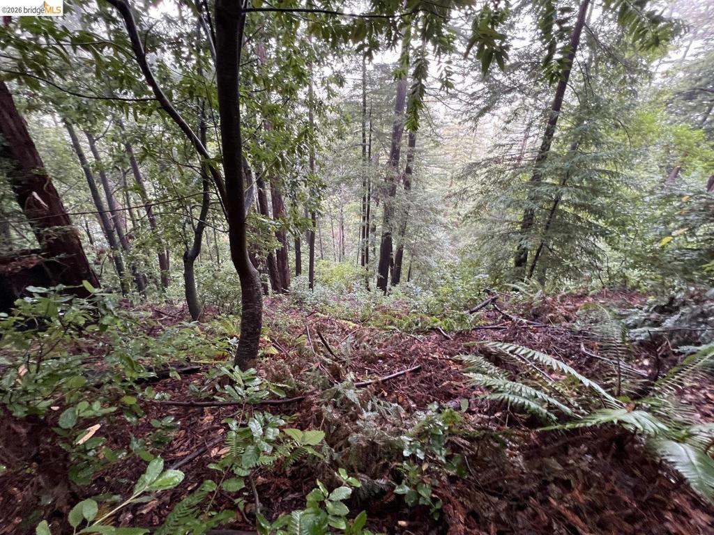 0 Deer Trail Way Property Photo 9